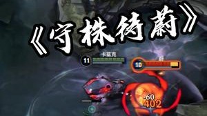 《守株待蔚》在线蹲一个小可爱