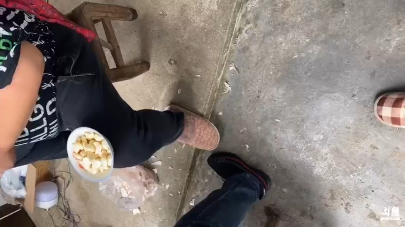 【2021-10-29 15点场】魅力生活i：美食大餐开始啦