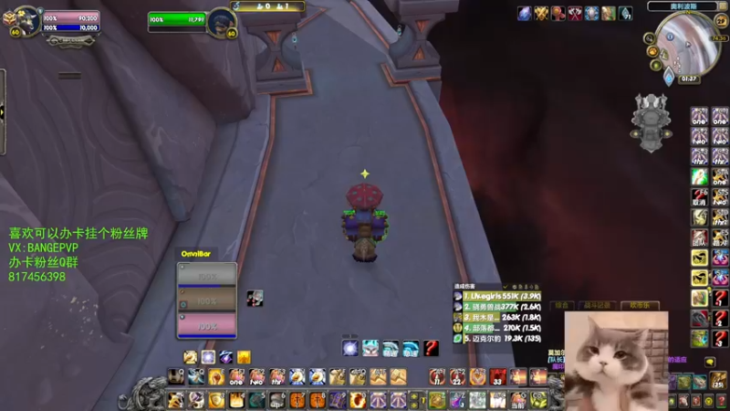 【2021-10-29 01点场】注册吹比师斑哥：正式服战士 防骑 奶德竞技场教学