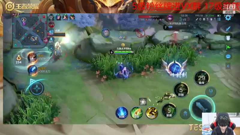 【2021-10-29 01点场】大胖狗koko：国服鲁班 职业选手5排 70星五排