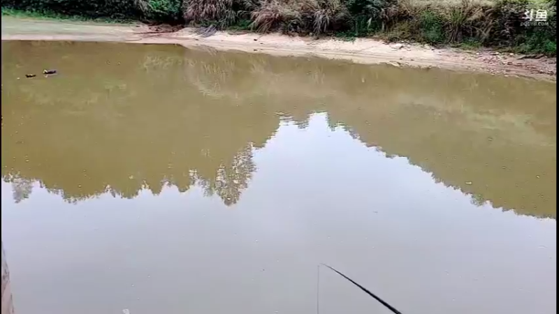 【2021-10-29 16点场】主播阿郎：荒野独居30天结束