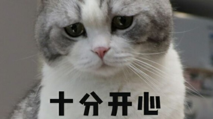坐牢