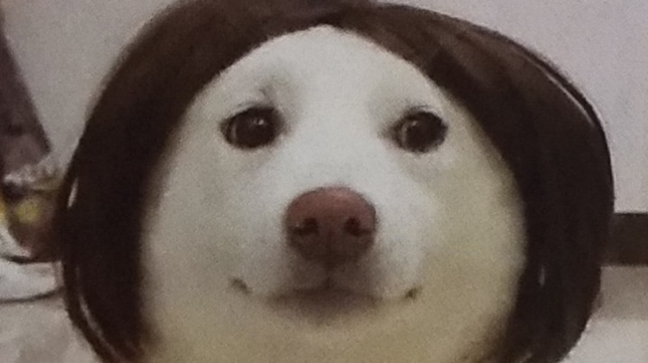 哈哈哈