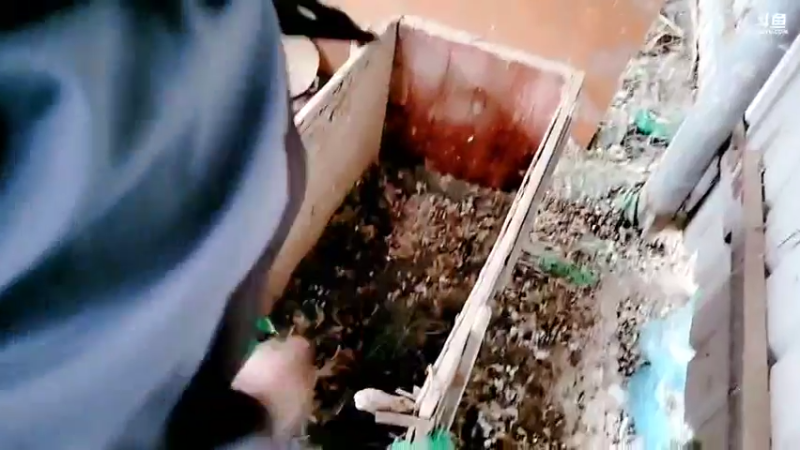 【2021-10-29 16点场】洪湖小肖：洪湖乡野生活