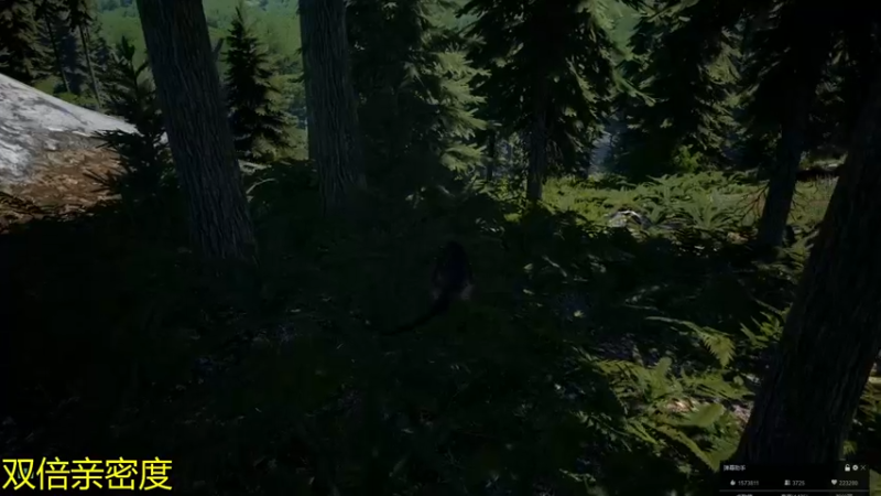 【2021-10-29 00点场】伽罗王丶：伽罗天王回归首秀