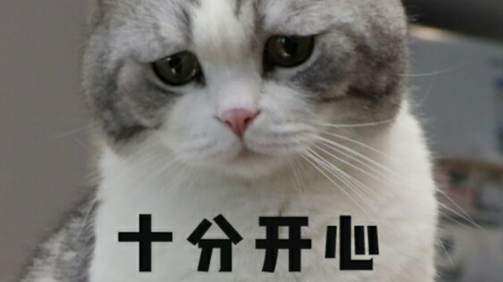 坐牢