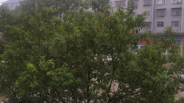 好好玩剑圣