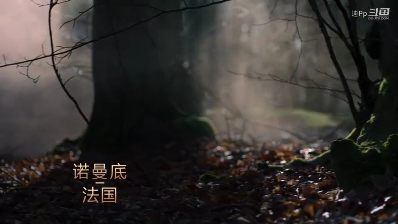 《帝国时代4》单人模式实景剧情诺曼人1141年第一次林肯战役