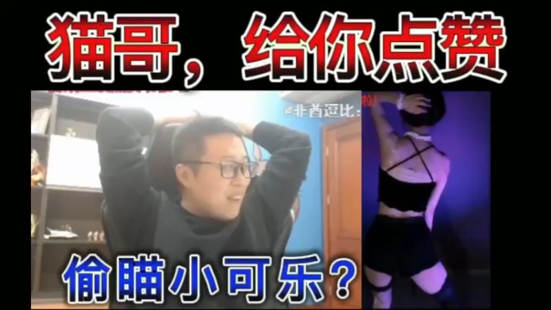 猫哥，给你点赞，偷瞄小可乐？！