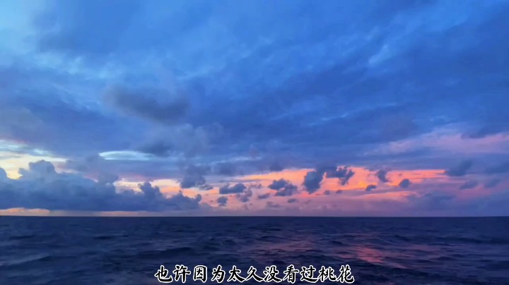 也许因为太久没看过桃花