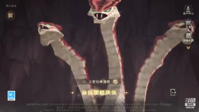 【2021-10-28 13点场】丶不慎：哈利波特魔法觉醒~