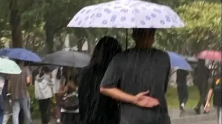 老实人主播回放