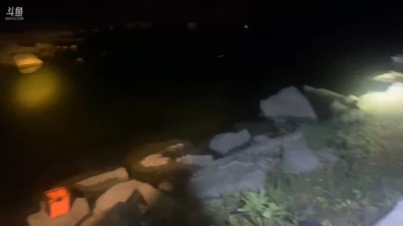 【2021-10-30 19点场】魅力生活i：今晚弄点鳜鱼鲫鱼