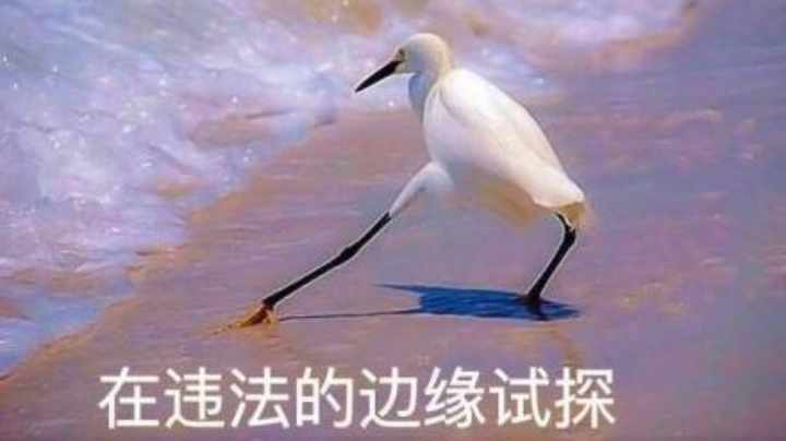 新人主播直播回放