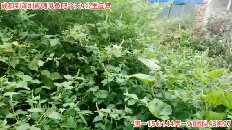 白天确定昨晚盒子20211030_205415