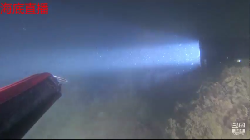 【2021-10-29 23点场】海道丶：今晚海底直播