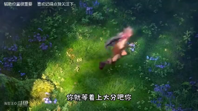 王者荣耀：辅助位置很重要，可以根据阵容选择软辅还是硬辅