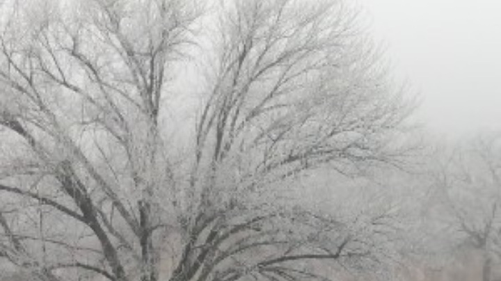 这牛逼都够我吹半年的