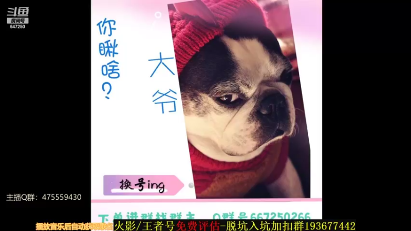 【2021-10-31 01点场】小马锅马杰：马锅：段位最后冲刺。