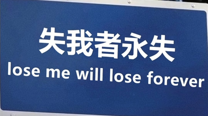 我没理想我整天幻想