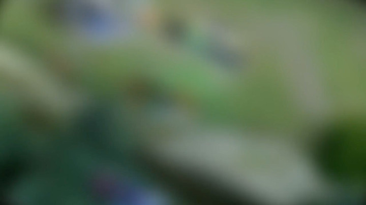 露露击杀集锦7