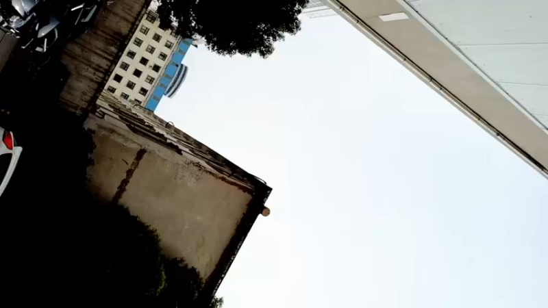 【2021-10-31 11点场】郑伟丶：社交牛壁症