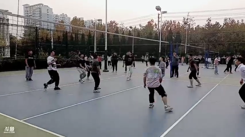 友谊赛