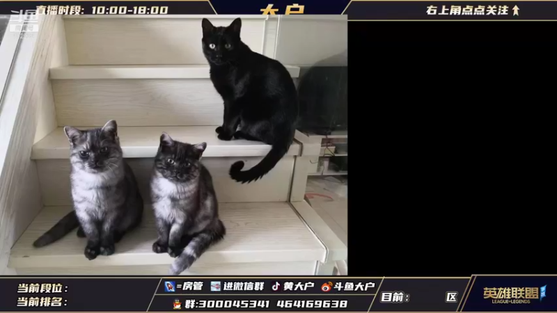 【2021-10-26 09点场】大户呀：国服第一辅
