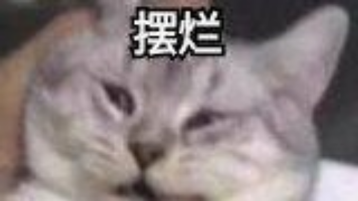 国服传奇幻术道长