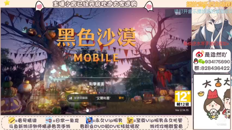 【2021-11-01 08点场】淰然乀：黑色沙漠职业分析