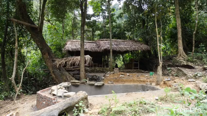更新20必须要有泳池8妹子深入荒野隐居修仙,建设世外桃源