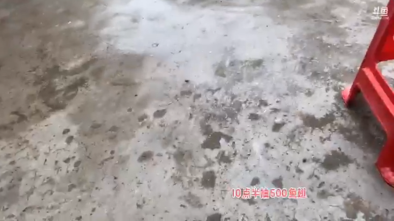 【2021-11-01 10点场】魅力生活i：县城到张家界各种整活