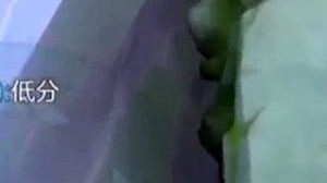 站起来了，家人们！