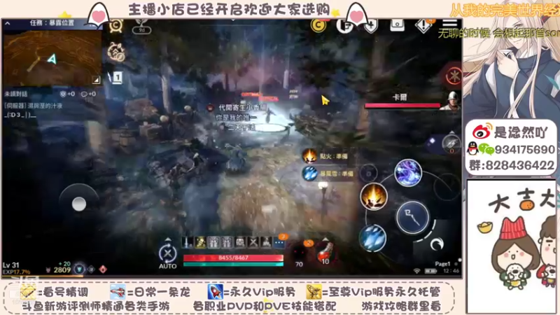 【2021-11-01 12点场】淰然乀：黑色沙漠职业分析