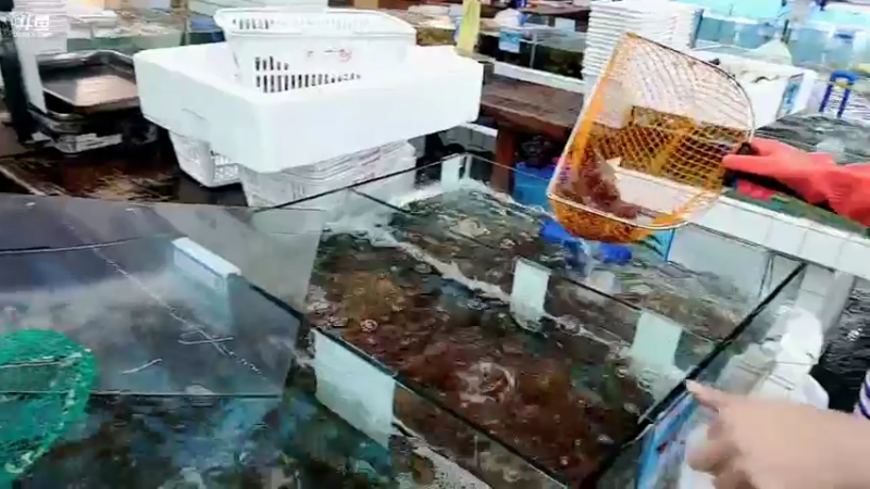 【2021-10-31 22点场】赛文柒Seven：环岛骑行day3(文昌-三亚)