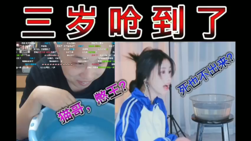 猫哥，憋王？三岁呛到了，打死也不出来？