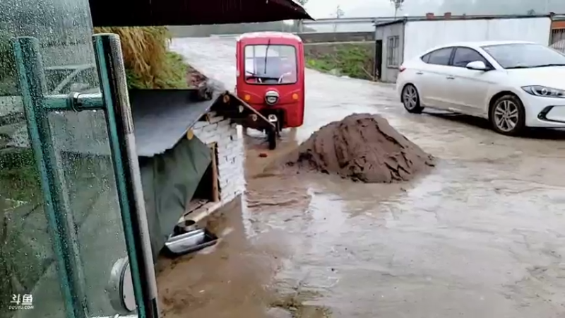 【2021-11-01 12点场】逐梦兄弟：无所畏惧～