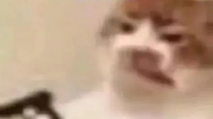 手游男枪中