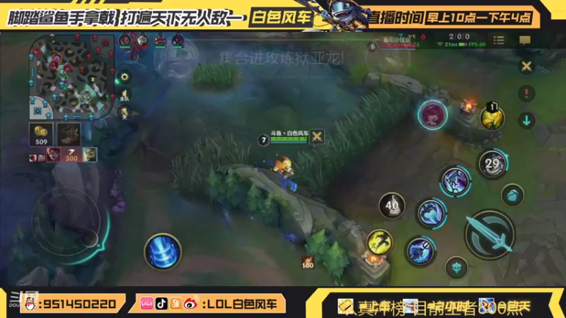 【2021-11-01 11点场】白色风车丶丶丶丶：单排王者800点，国服第一个王者小鱼人！