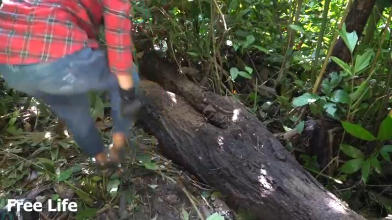 更新40制作公园椅3#妹子独自深入荒野隐居，建设世外桃源