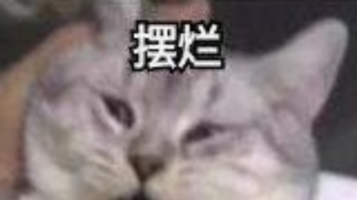 国服传奇幻术道长