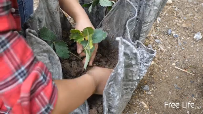 更新31必须水利舂(4)妹子深入荒野隐居修仙,建设世外桃源