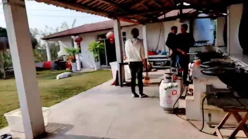 【2021-11-02 14点场】洪湖小肖：鱼塘下网卖鱼