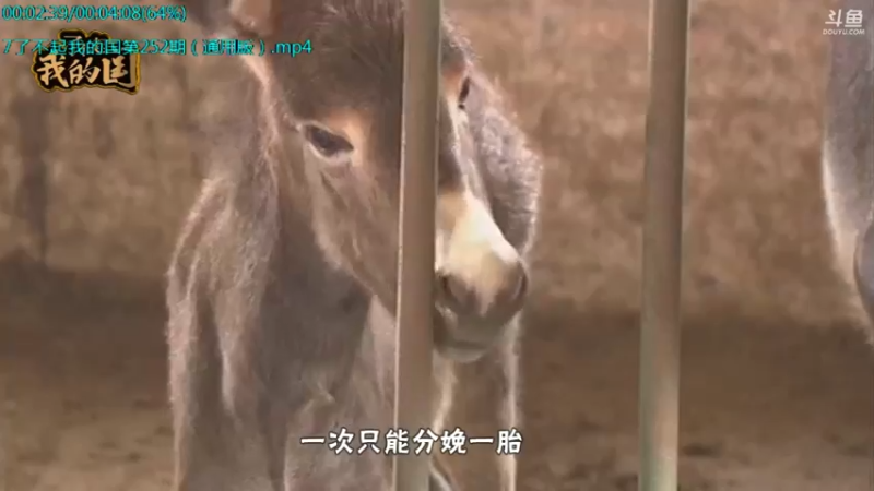 【2021-11-02 00点场】了不起我的国：哪里的话最好听？中国36种方言大比拼