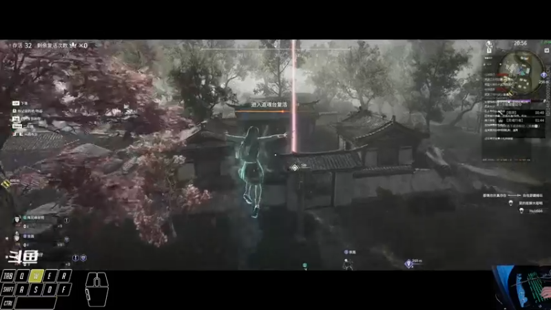 【2021-11-02 16点场】一只黄仔：包心菜又来了