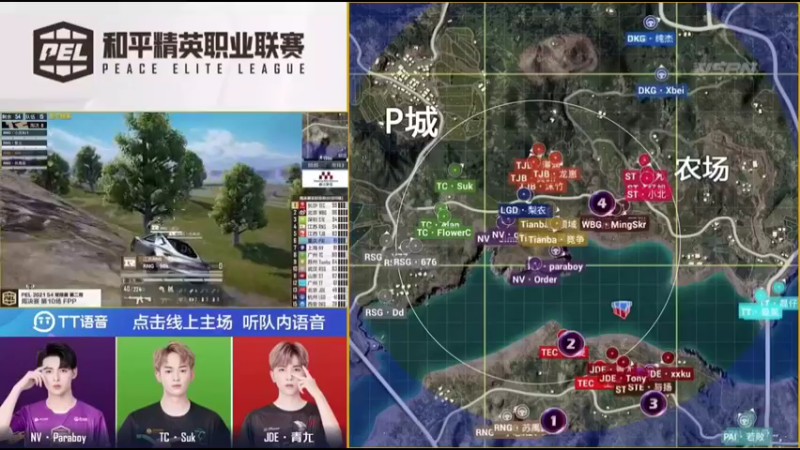 和平精英职业联赛盛况（12）