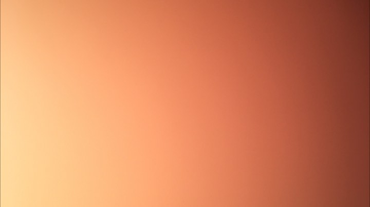 261