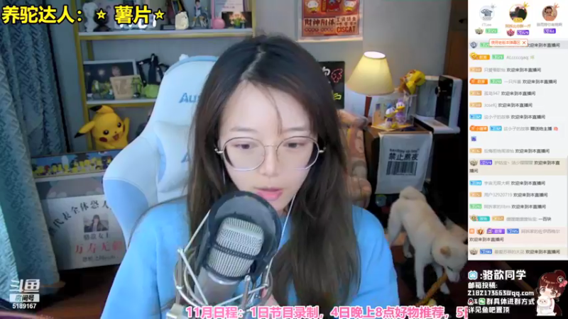 【2021-11-02 13点场】骆歆冲冲冲：新主播求守护 5189167