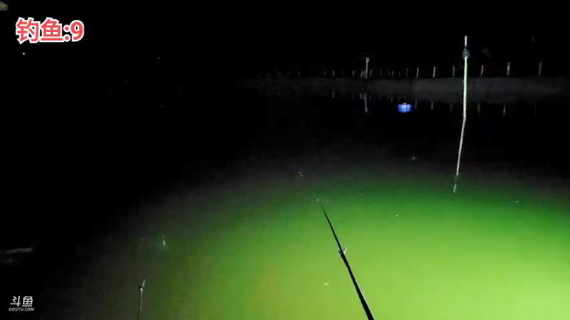 【2021-11-02 19点场】逐梦兄弟：钓鱼人的自我修养