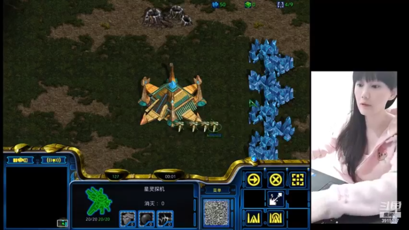 pvz边打边解说教学